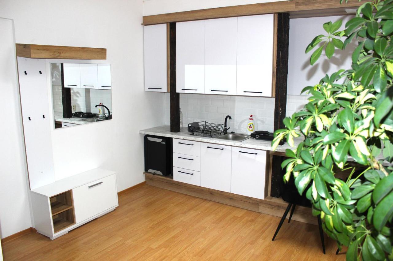 Krasny Priestranny Slnecny Apartman V Centre Mesta Trenčín エクステリア 写真