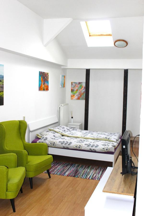 Krasny Priestranny Slnecny Apartman V Centre Mesta Trenčín エクステリア 写真