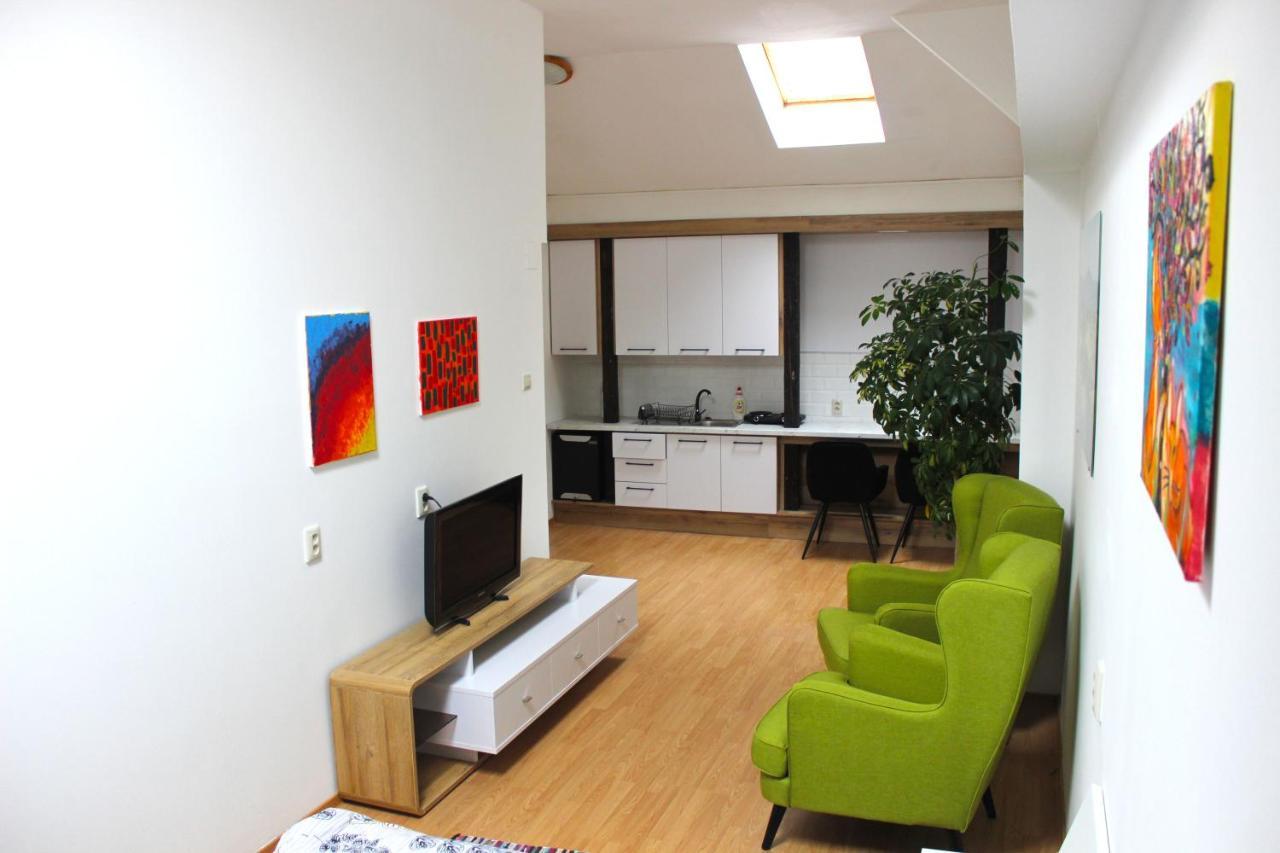 Krasny Priestranny Slnecny Apartman V Centre Mesta Trenčín エクステリア 写真